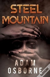 Capa do artigo Steel Mountain