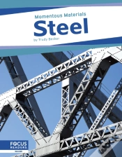 Capa do artigo Steel
