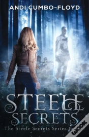 Capa do artigo Steele Secrets