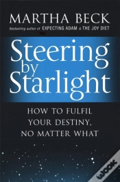 Capa do artigo Steering By Starlight