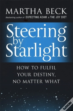 Capa do artigo Steering By Starlight