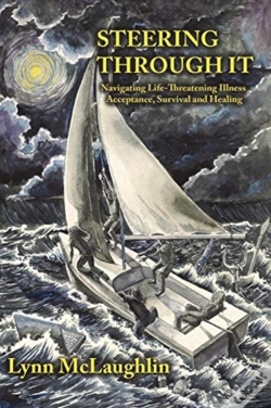 Capa do artigo Steering Through It