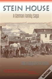 Capa do artigo Stein House