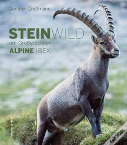 Capa do artigo Steinwild Am Grossglockner Alpine Ibex