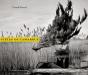 Steles De Camargue - Preview