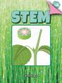 Stem - Preview