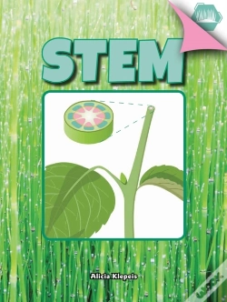 Capa do artigo Stem