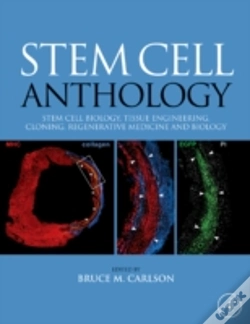 Capa do artigo Stem Cell Anthology