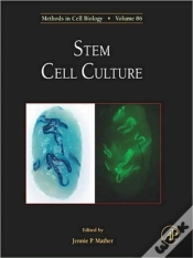 Capa do artigo Stem Cell Culture
