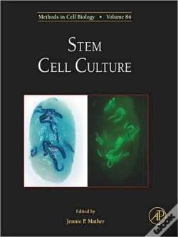 Capa do artigo Stem Cell Culture