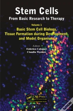 Capa do artigo Stem Cells: From Basic Research To Therapy, Volume 1