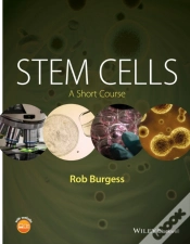 Capa do artigo Stem Cells