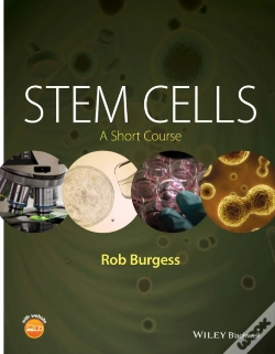 Capa do artigo Stem Cells
