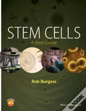 Stem Cells
