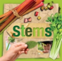 Stems - Preview