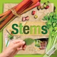 Stems