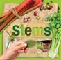 Stems - Preview