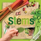 Stems