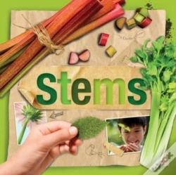 Capa do artigo Stems