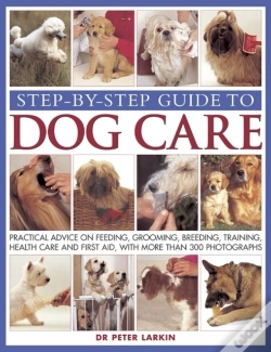 Capa do artigo Step-By-Step Guide To Dog Care