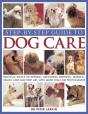 Step-By-Step Guide To Dog Care - Preview