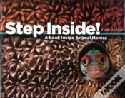 Capa do artigo Step Inside!