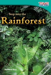 Capa do artigo Step Into The Rainforest