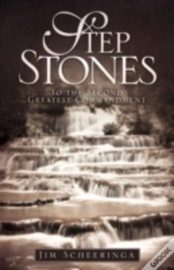 Capa do artigo Step Stones