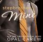Stepbrother, Mine - Preview
