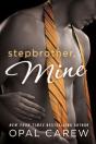 Stepbrother, Mine - Preview