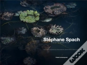 Stéphane Spach, Photographe