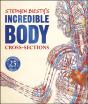 Stephen Biesty'S Incredible Body Cross-Sections - Preview
