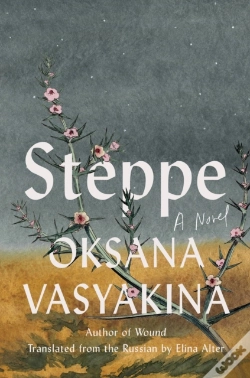 Capa do artigo Steppe