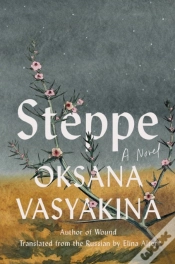 Capa do artigo Steppe