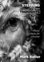 Stepping From Thoughts - Preview