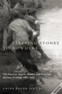 Capa do artigo Stepping Stones To Nowhere