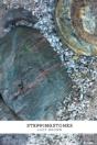 Steppingstones - Preview