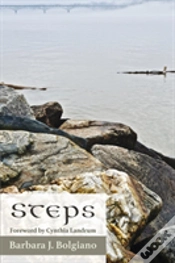 Capa do artigo Steps