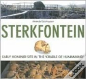 Capa do artigo Sterkfontein