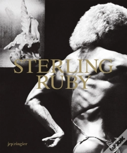 Capa do artigo Sterling Ruby