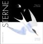 Sterne - Preview