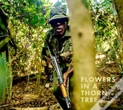 Capa do artigo Steven Thackston: Flowers In A Thorn Tree