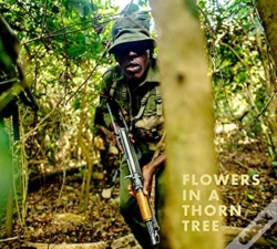 Capa do artigo Steven Thackston: Flowers In A Thorn Tree