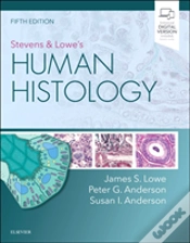 Capa do artigo Stevens & Lowe