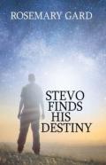 Stevo Finds His Destiny
