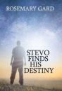 Stevo Finds His Destiny - Preview