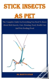 Stick Insects As Pet
