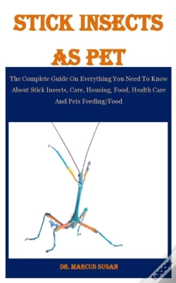 Capa do artigo Stick Insects As Pet
