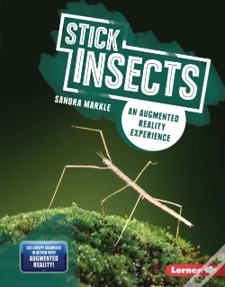 Capa do artigo Stick Insects