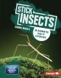 Stick Insects - Preview